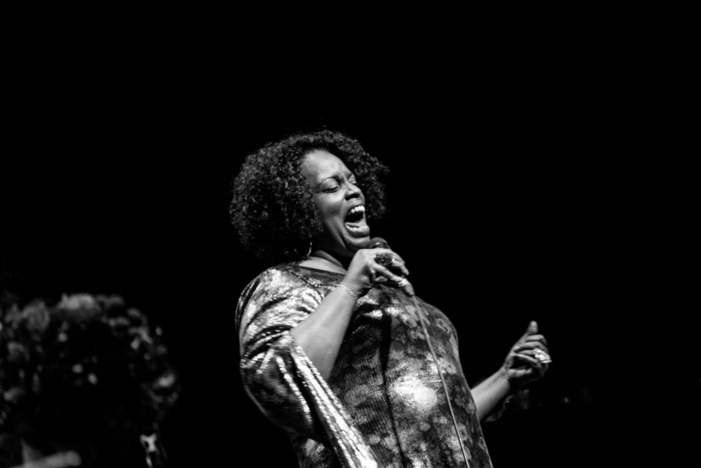 Review: DIANNE REEVES: LOVESTRUCK Is Spreading Love at Jazz At Lincoln Center  Image