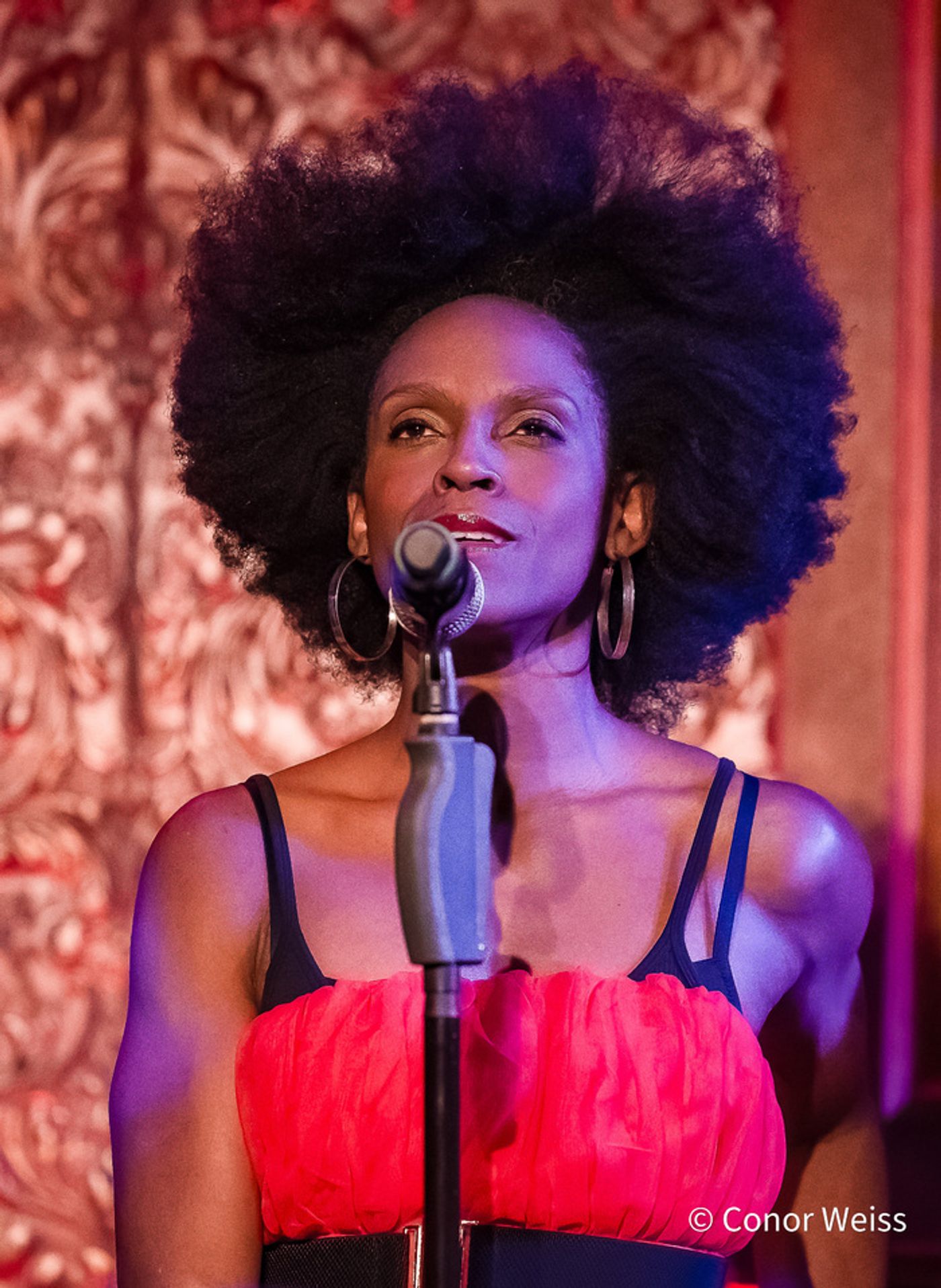 Photos: Andre de Shields Celebrates Haarlem Nocturne at 54 Below  Image