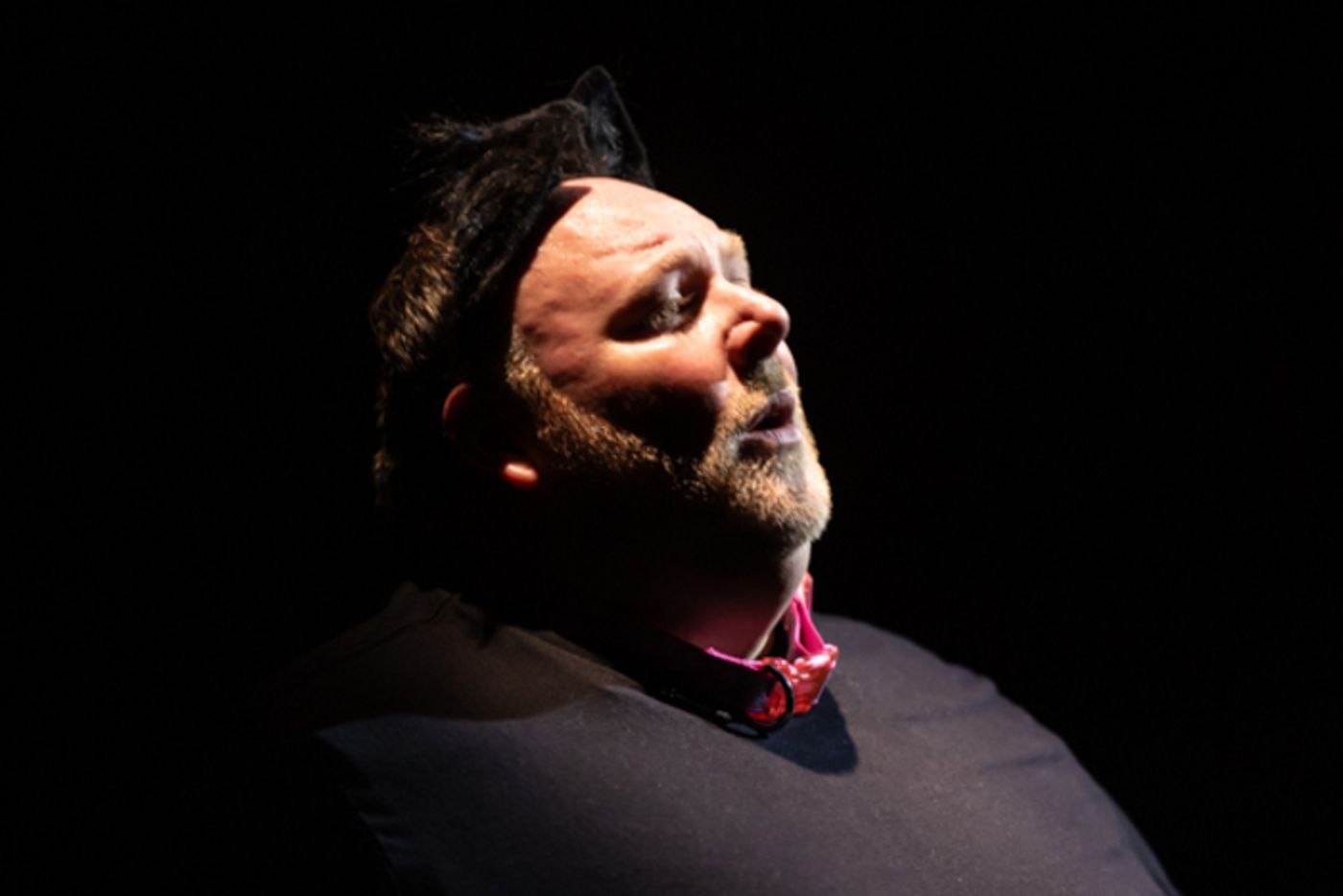 Photos: First look at Rise Up Art Alliance's FORBIDDEN BROADWAY'S GREATEST HITS  Image