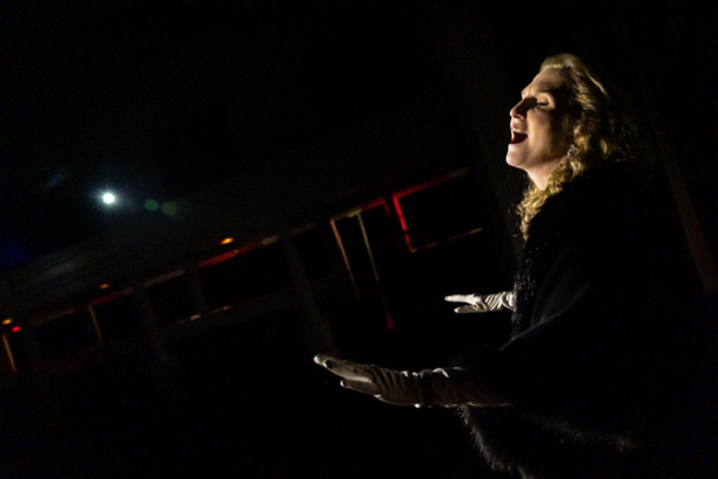 Photos: First look at Rise Up Art Alliance's FORBIDDEN BROADWAY'S GREATEST HITS  Image