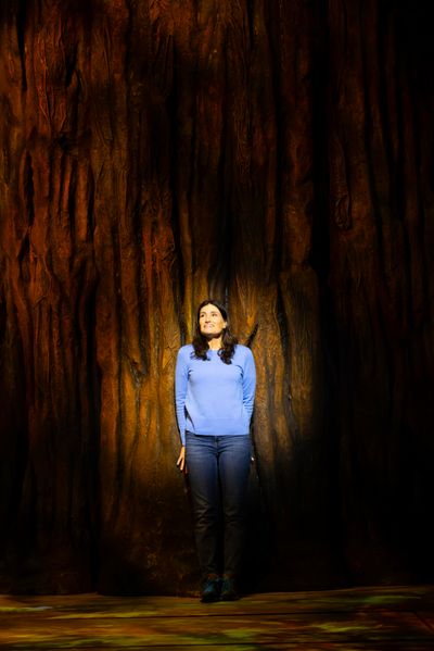 Idina Menzel in La Jolla Playhouse’s world-premiere production of REDWOOD Photo