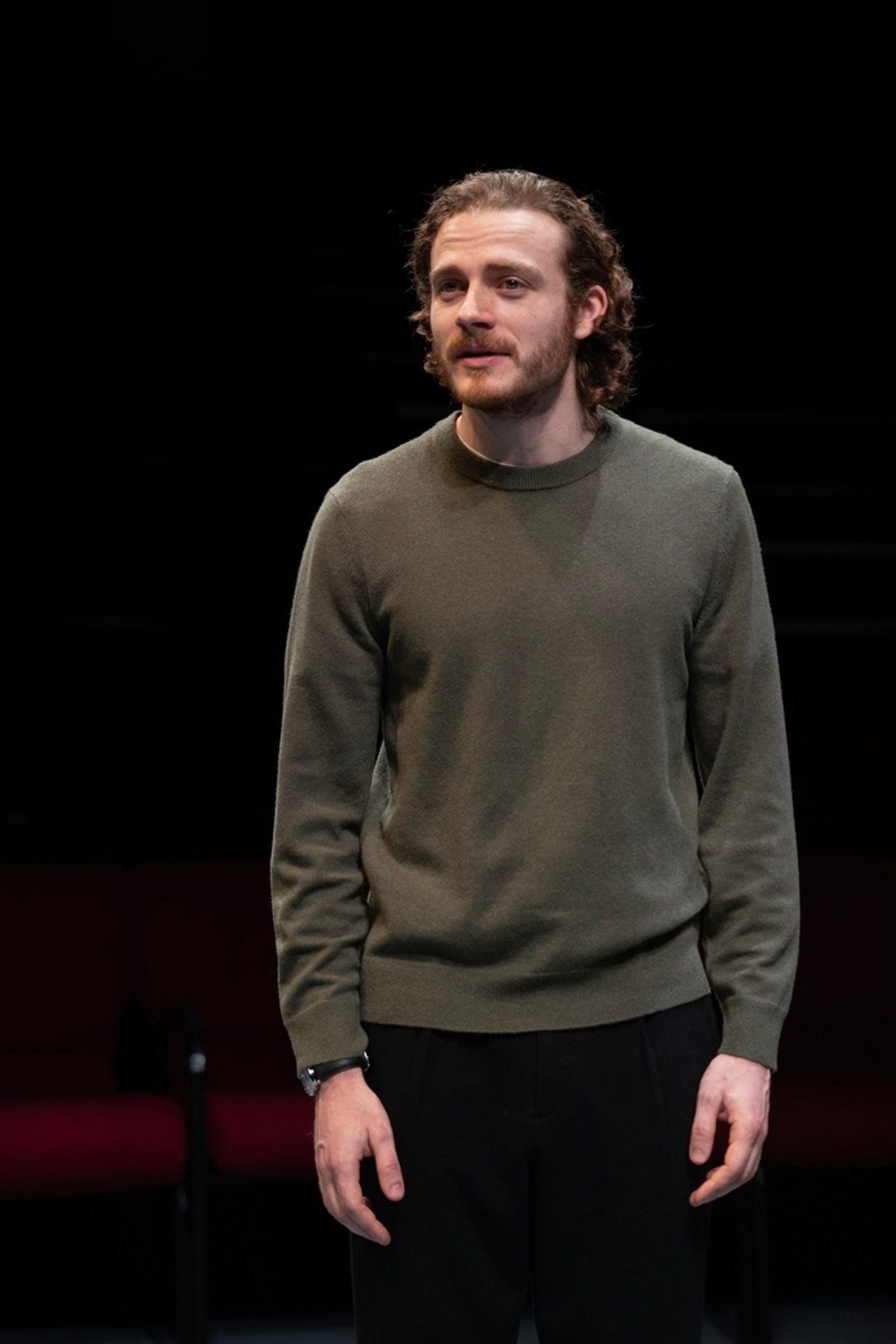 Photos: First Look at Josh Radnor and More in THE ALLY at the Public Theater  Image