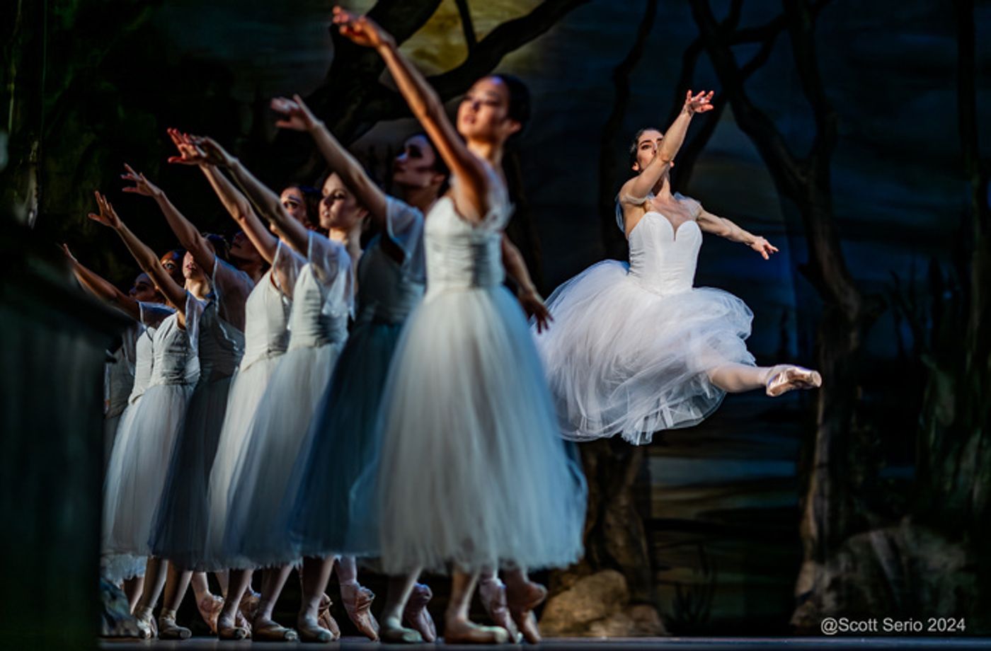 Review: GISELLE at The Academy Of Music  Image