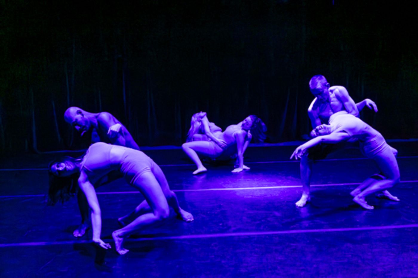 Photos: Inside New Vision Dance Company's UP CLOSE AND PERSONAL vol. 7 Photos: Inside New Vision Dance Company's UP CLOSE AND PERSONAL vol. 7 Image