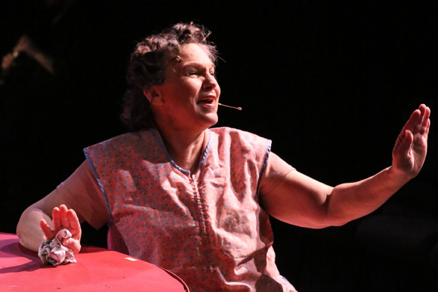 Photos: First Look New Line Theatre's SWEET POTATO QUEENS  Image