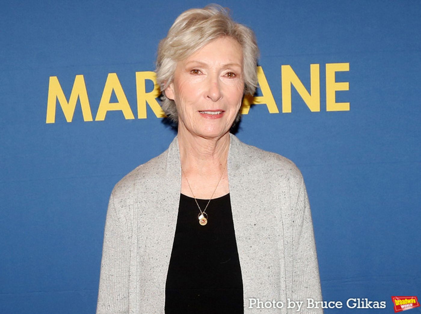 Photos: Rachel McAdams and the Cast of MARY JANE Meet the Press  Image