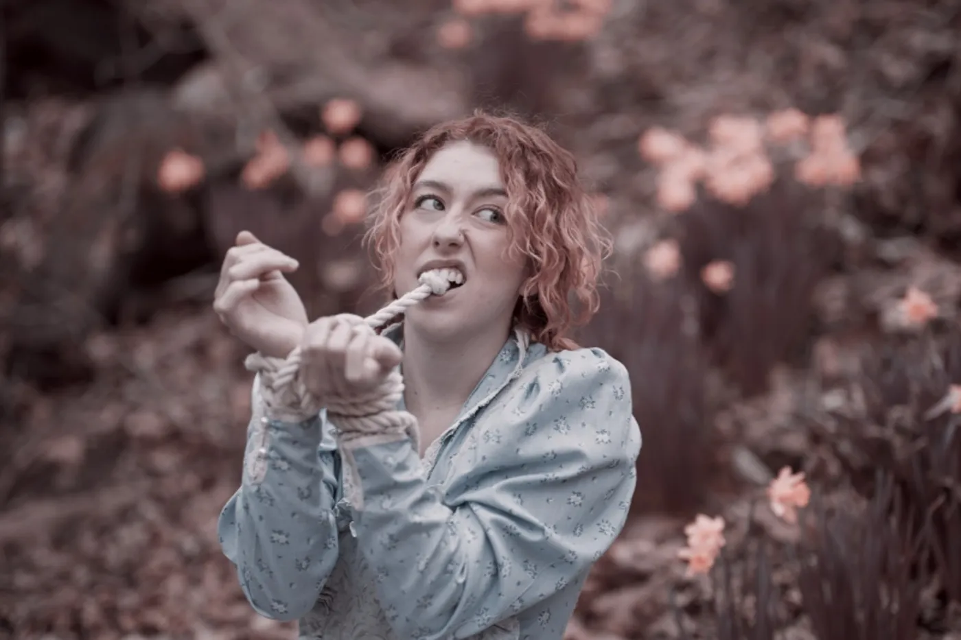 The Friday Five (+1): The Cast of Street Theatre Company's THE TRAIL TO OREGON  Image