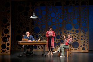 Mike Ryan, Uma Paranjpe, and Kjerstine Anderson Photo