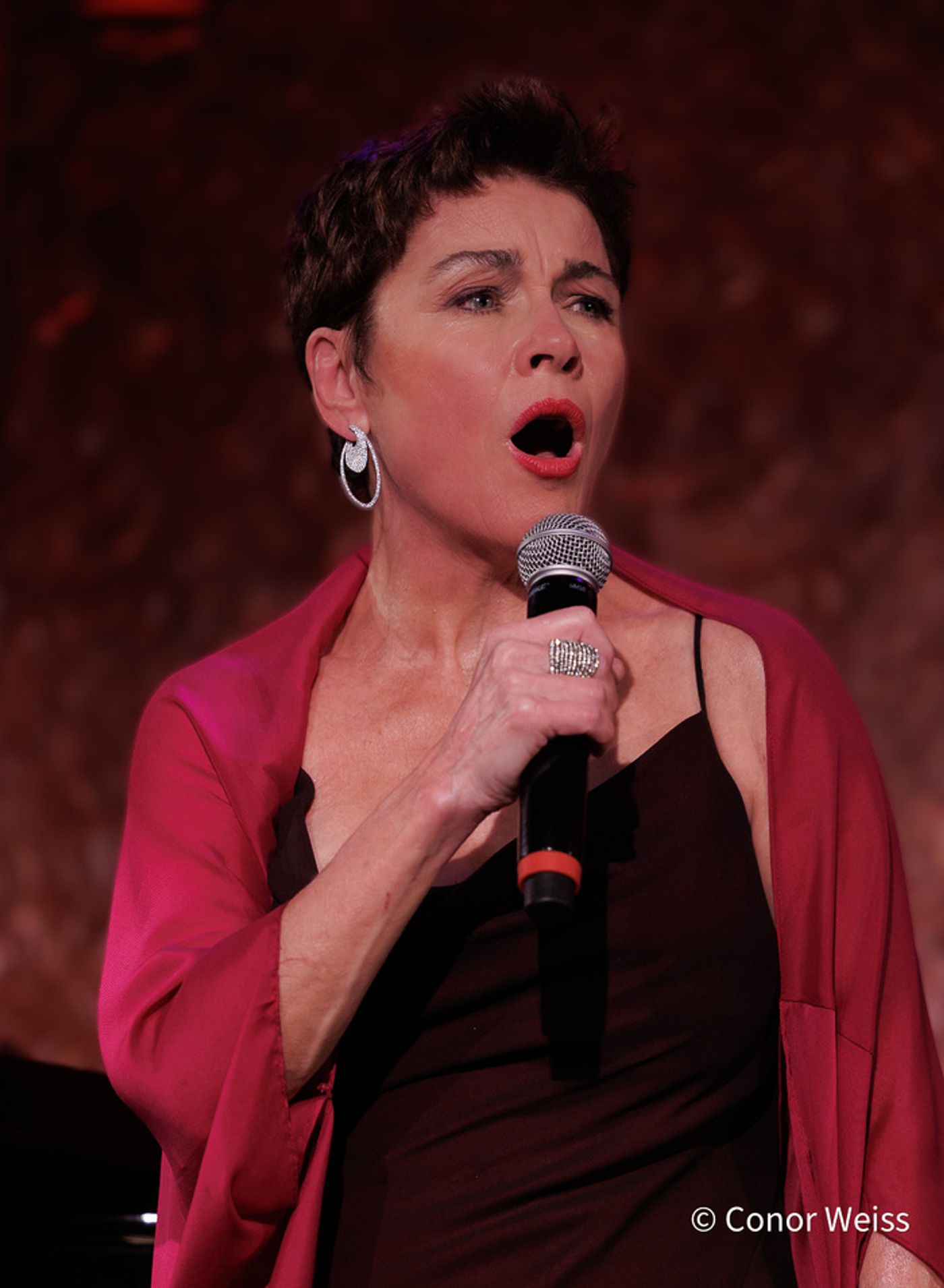 Photos: Christine Andreas Was Marvelous in PARIS TO BROADWAY at 54 Below  Image