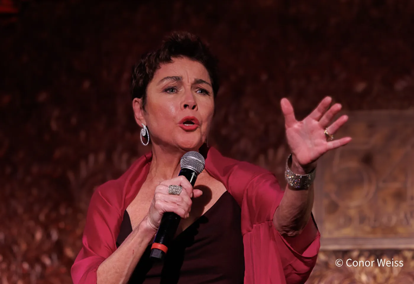 Photos: Christine Andreas Was Marvelous in PARIS TO BROADWAY at 54 Below  Image