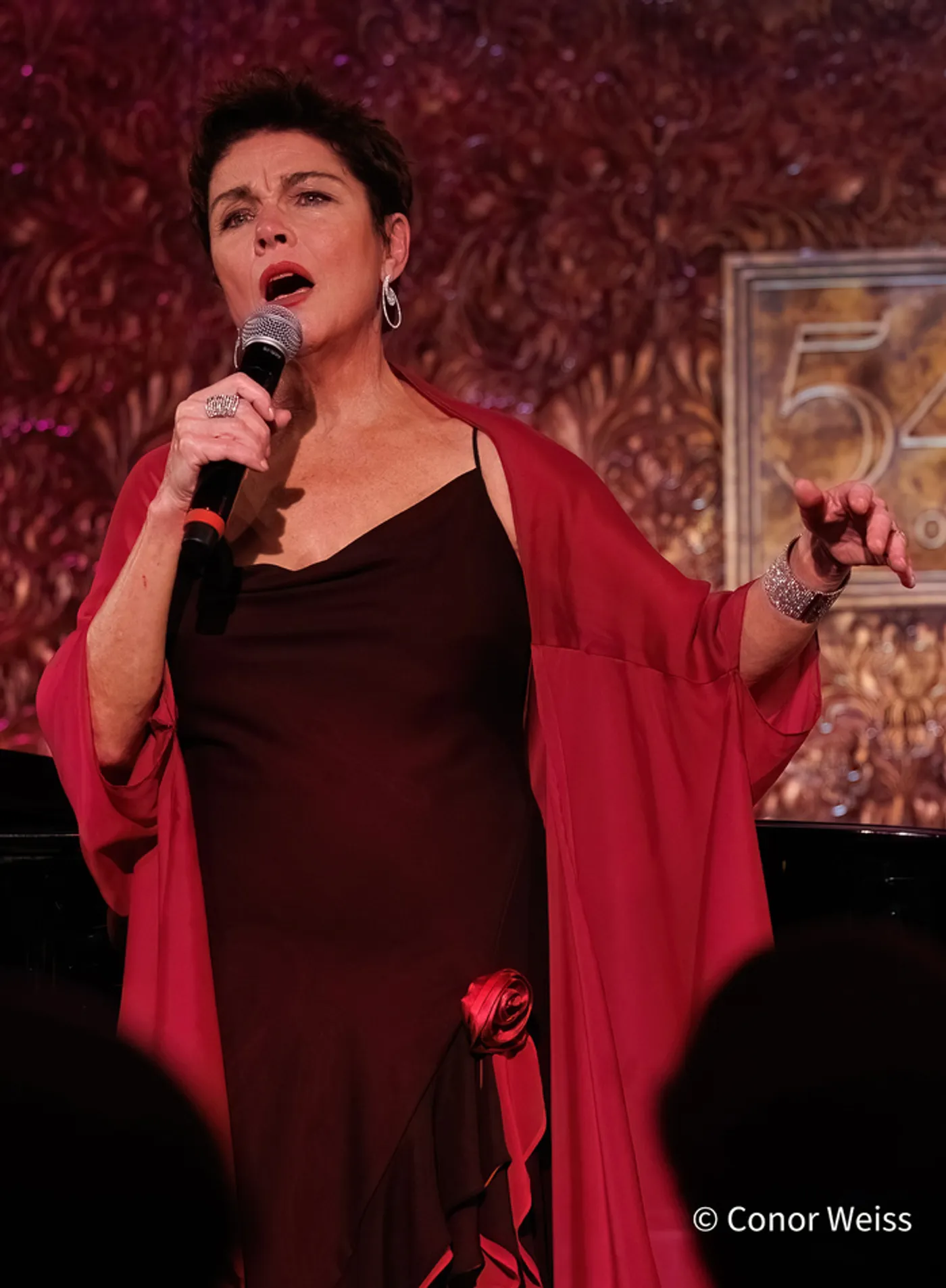 Photos: Christine Andreas Was Marvelous in PARIS TO BROADWAY at 54 Below  Image