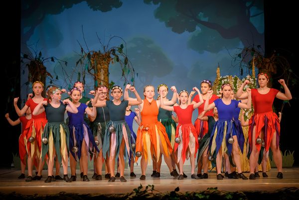Photos: Get a First Look At Liberty Union Musical Theater's PETER PAN JR.  Image