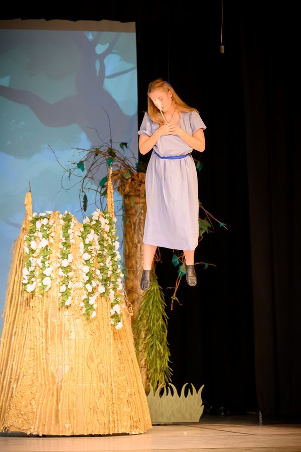 Photos: Get a First Look At Liberty Union Musical Theater's PETER PAN JR.  Image