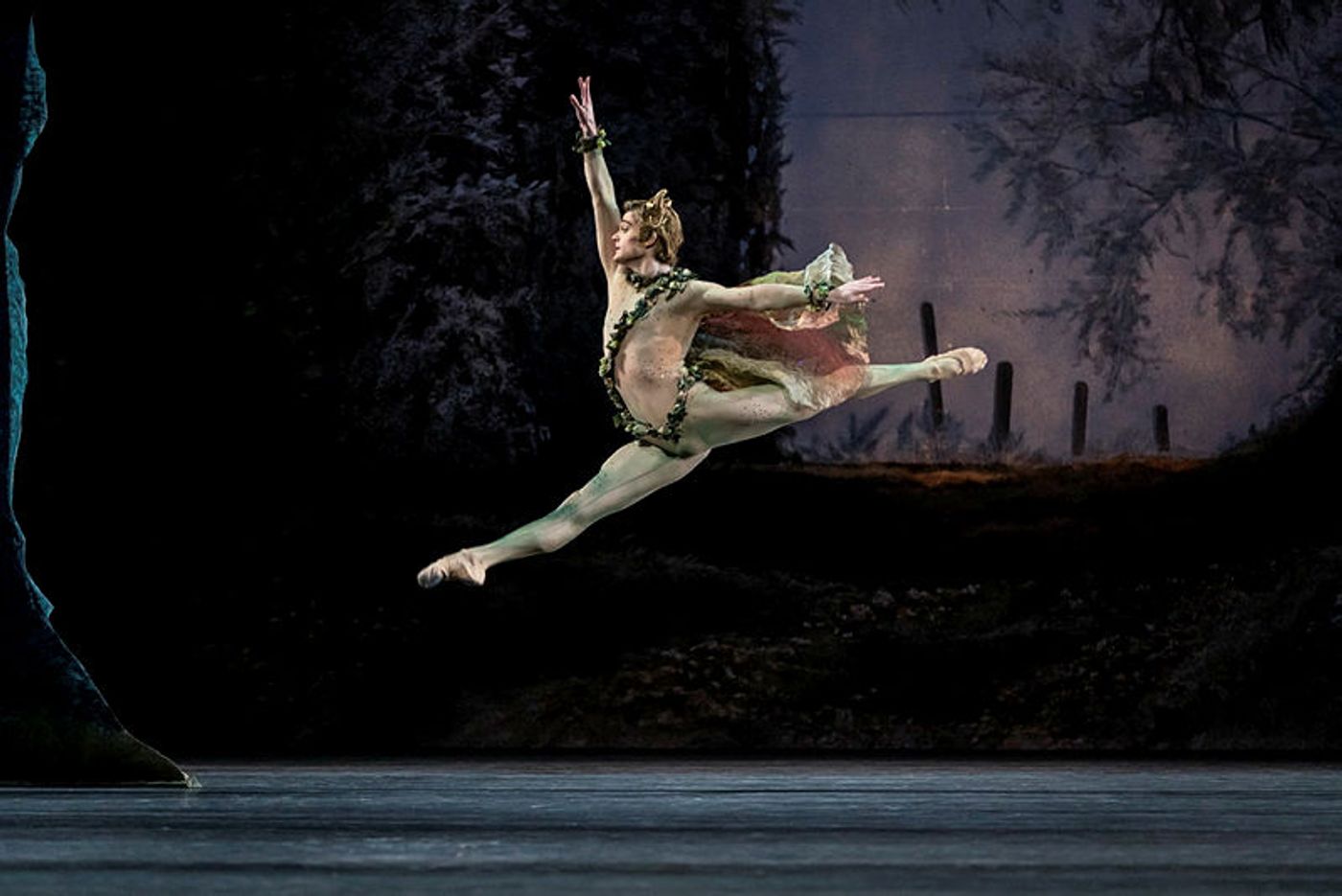 Review: A MIDSUMMER NIGHT'S DREAM at San Francisco Ballet  Image