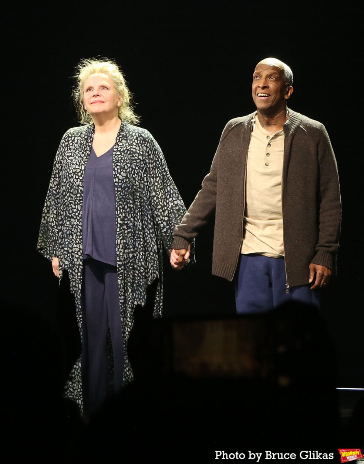 Maryann Plunkett and Dorian Harewood at 