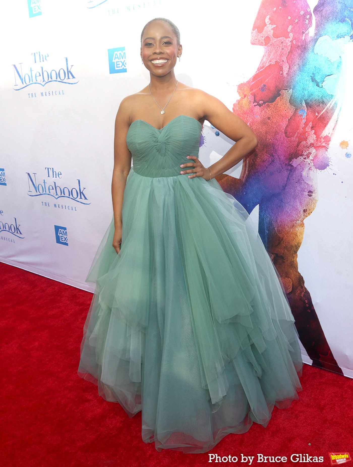 Photos: THE NOTEBOOK Cast & Creative Team Walk the Red Carpet on Opening Night  Image