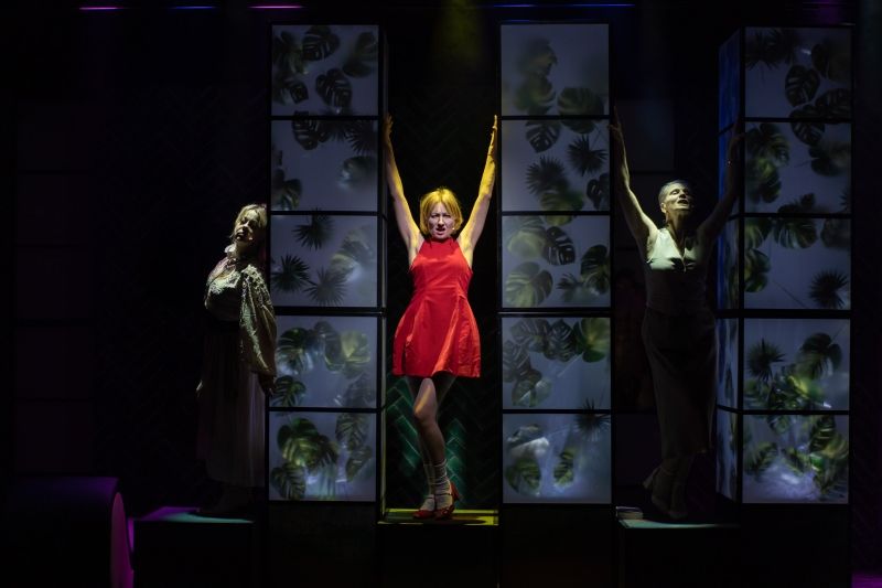 Review: COUGAR, THE MUSICAL at The Kujawsko-Pomorski Music Theatre, Torun  Image