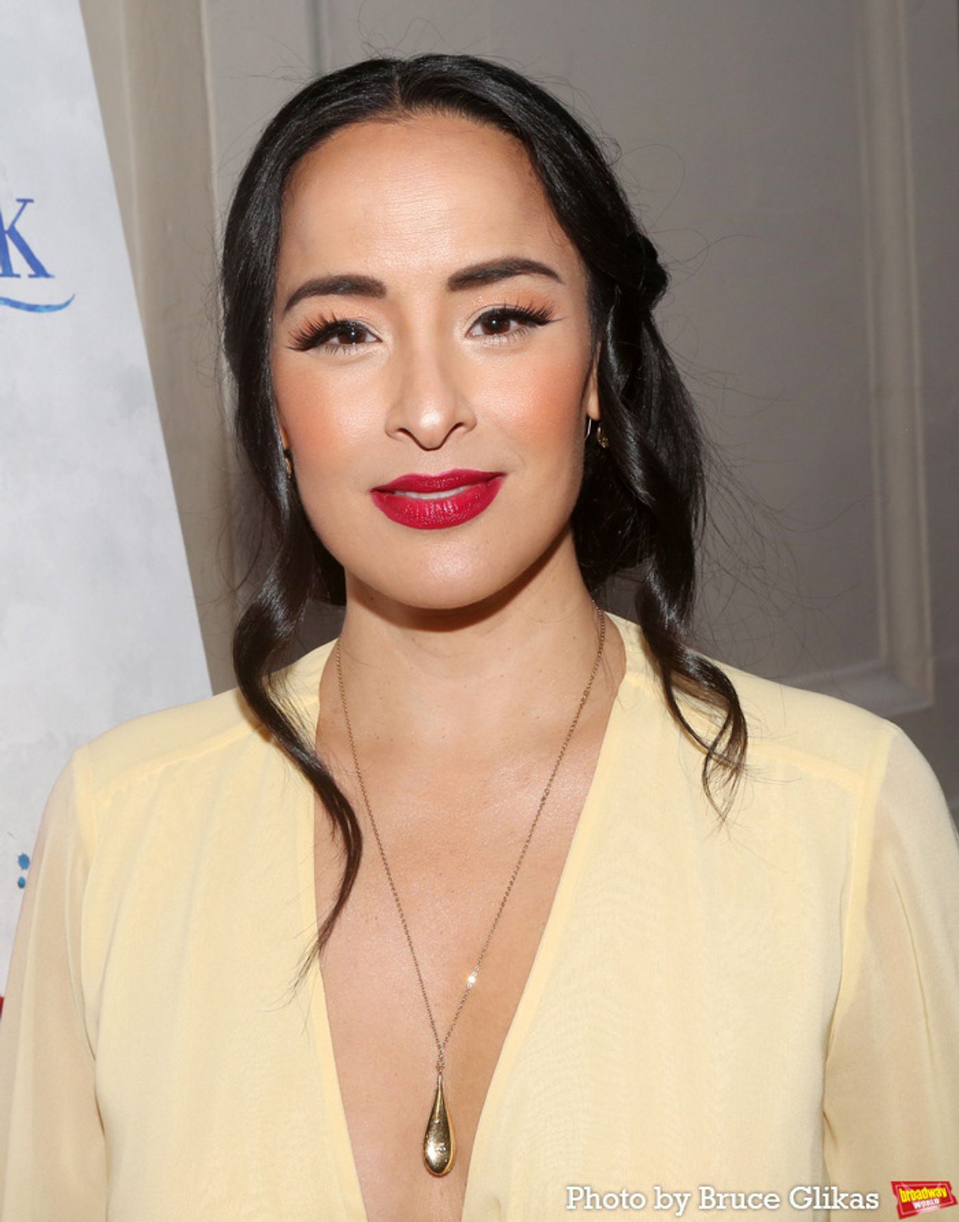 Photos: On the Red Carpet at Opening Night of THE NOTEBOOK  Image