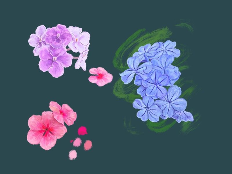 Student Blog: Spring is Here! Student Blog: Spring is Here! Image