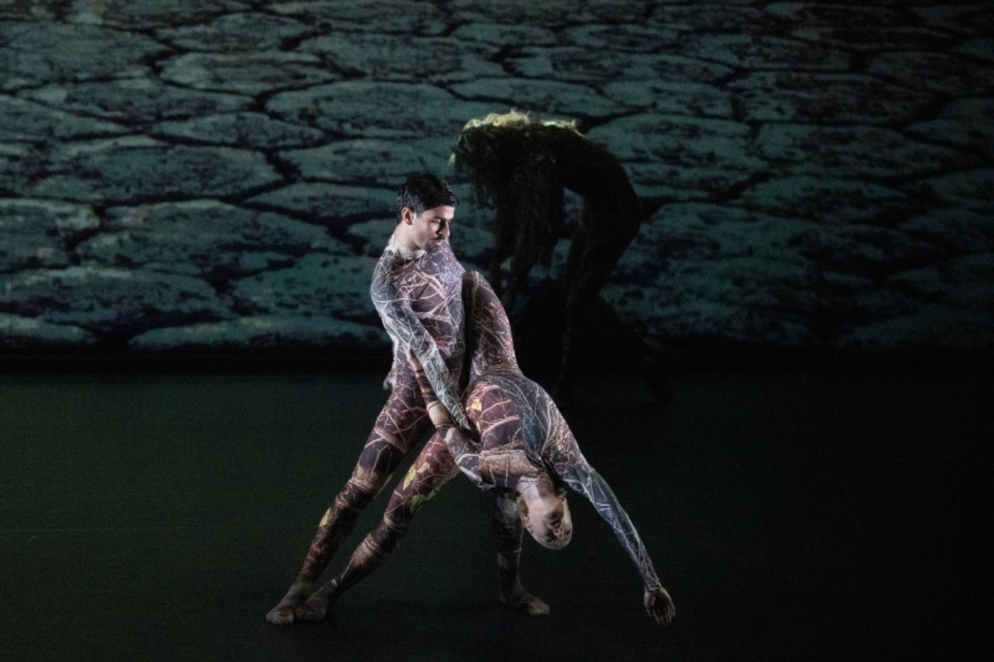 Review: UNIVERSE: A DARK CRYSTAL ODYSSEY, Sadler's Wells  Image