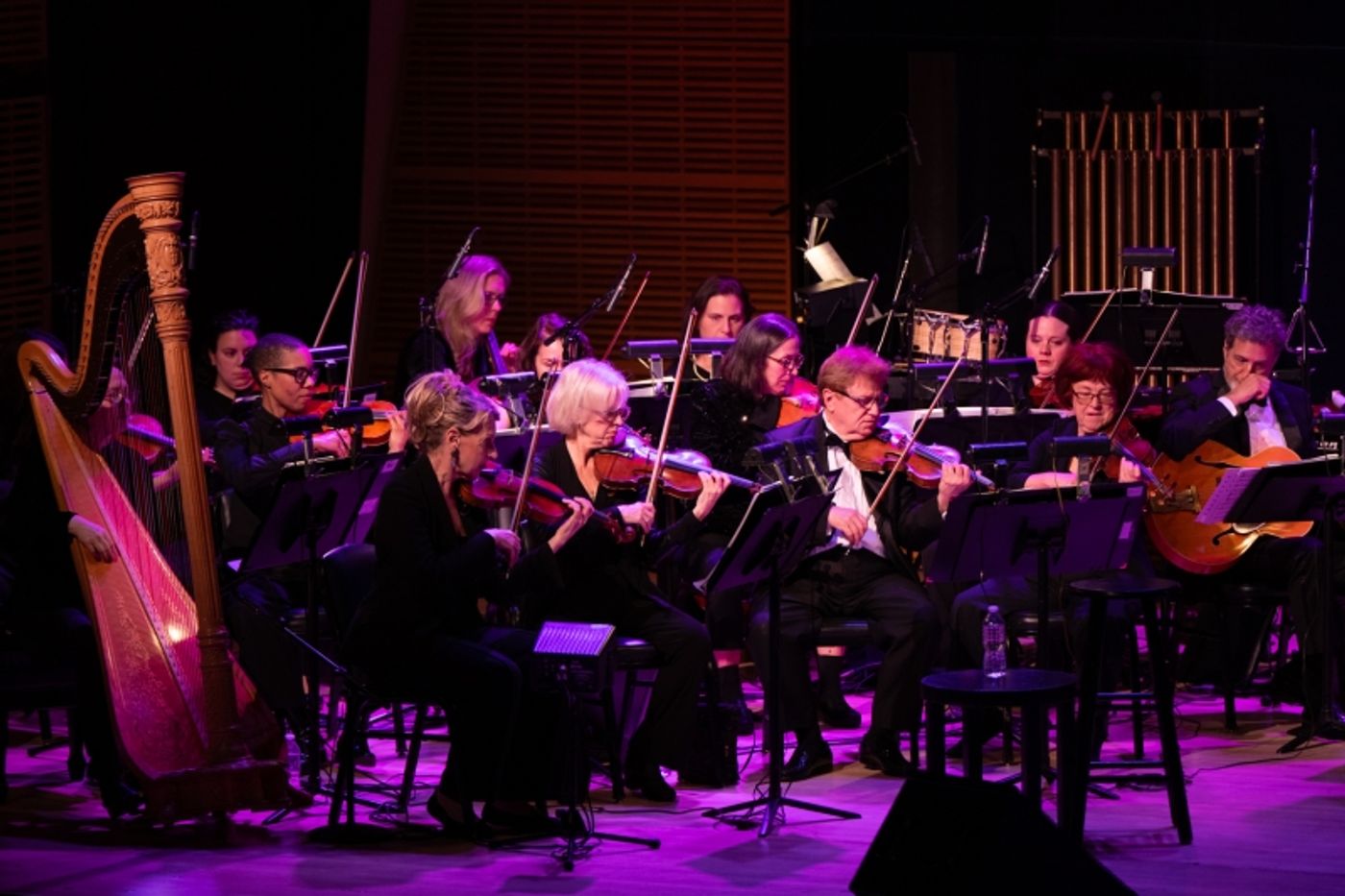 Review: A TOAST TO STEVE & EYDIE at Zankel Hall Is a Triumph of a Toast  Image