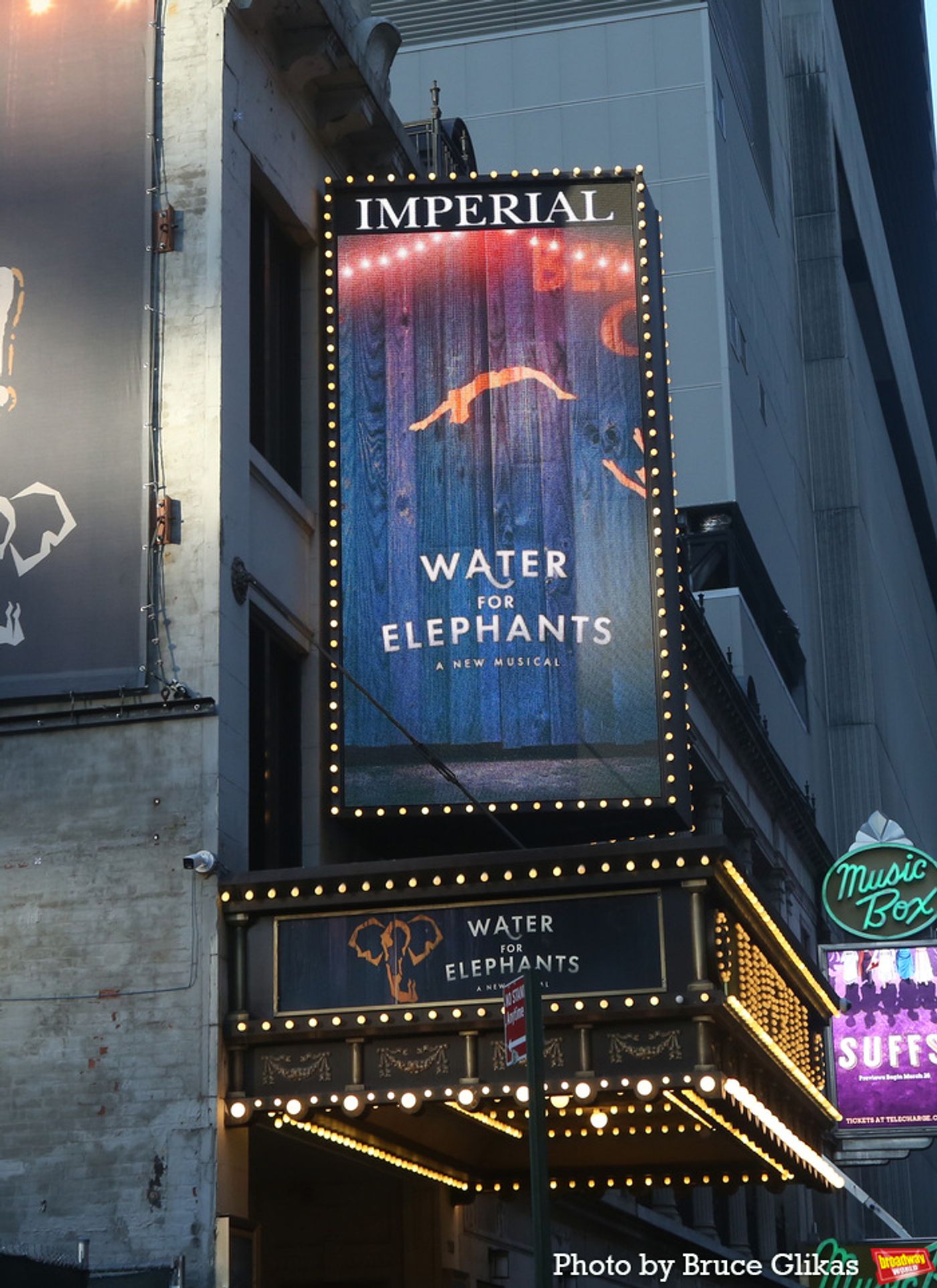 Photos: WATER FOR ELEPHANTS Company Celebrates Opening Night  Image