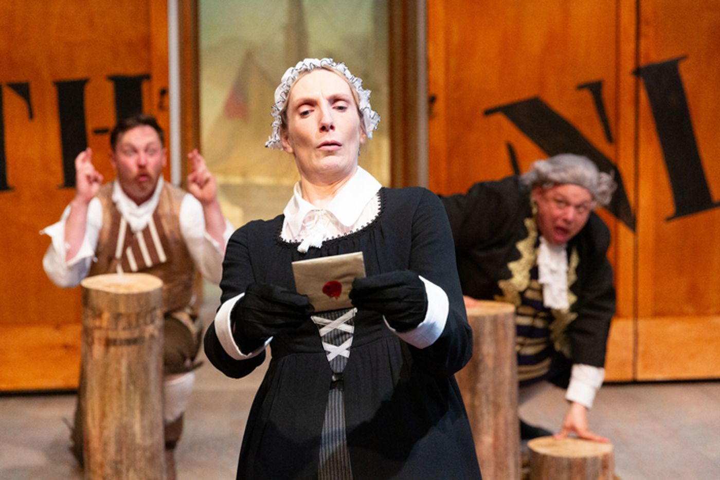 Photos: First Look at The Gamm Theatre's TWELFTH NIGHT  Image
