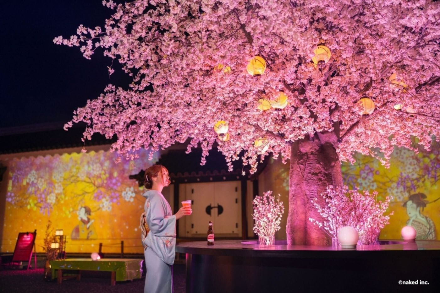 Review: NAKED SAKURA FESTIVAL 2024: WORLD HERITAGE SITE NIJO-JO CASTLE  Image