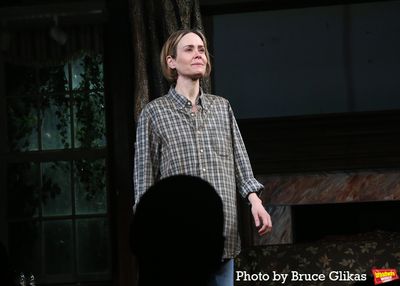 Sarah Paulson Photo