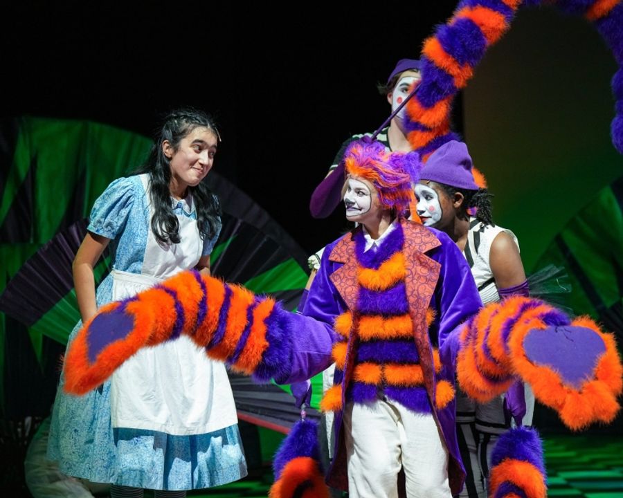 Review: ALICE IN WONDERLAND at Children's Theatre Company Image