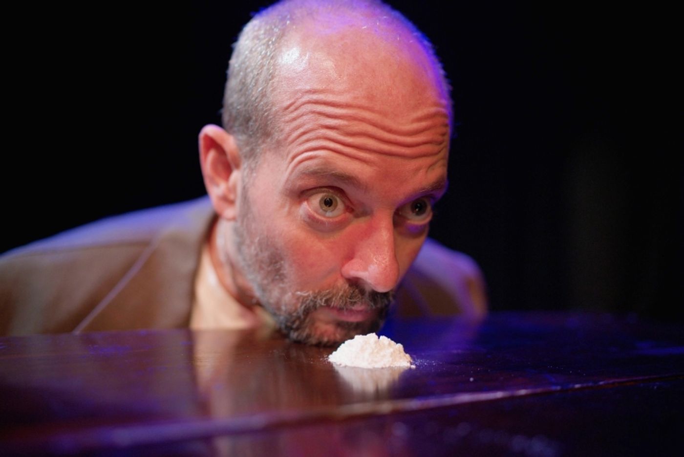 Review: FREUD ON COCAINE at Whitefire Theatre  Image