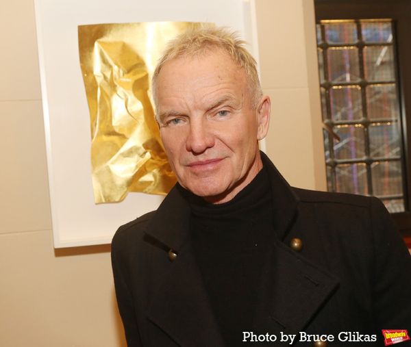Sting  Photo