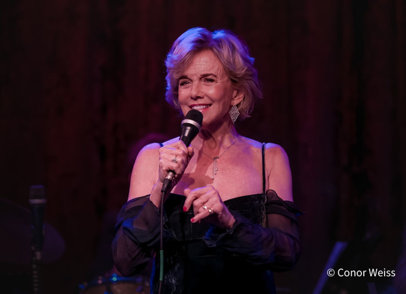 Photos: Linda Purl and the DIVA Jazz Orchestra: BIG BAND ROMANCE at Birdland  Image