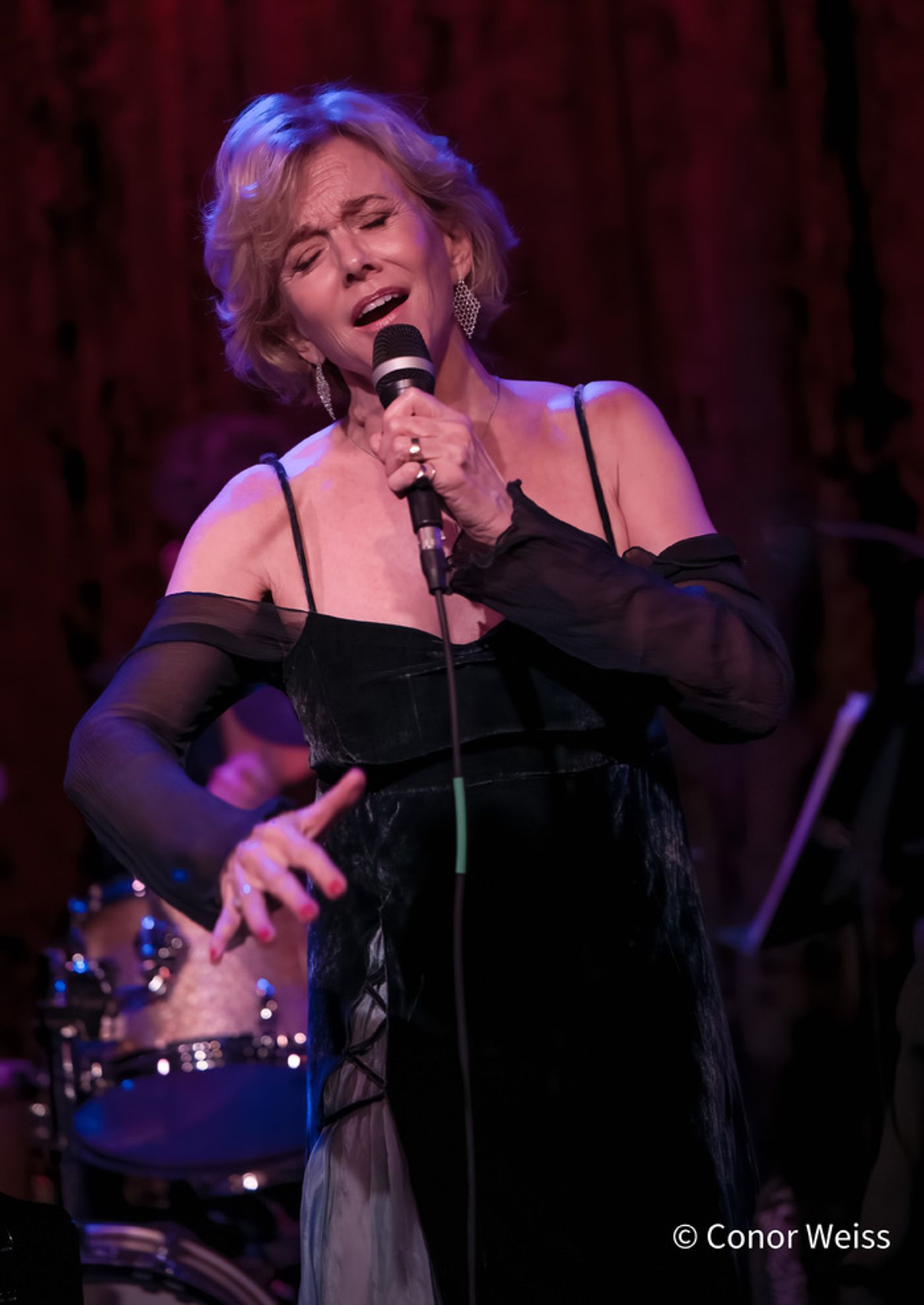 Photos: Linda Purl and the DIVA Jazz Orchestra: BIG BAND ROMANCE at Birdland  Image