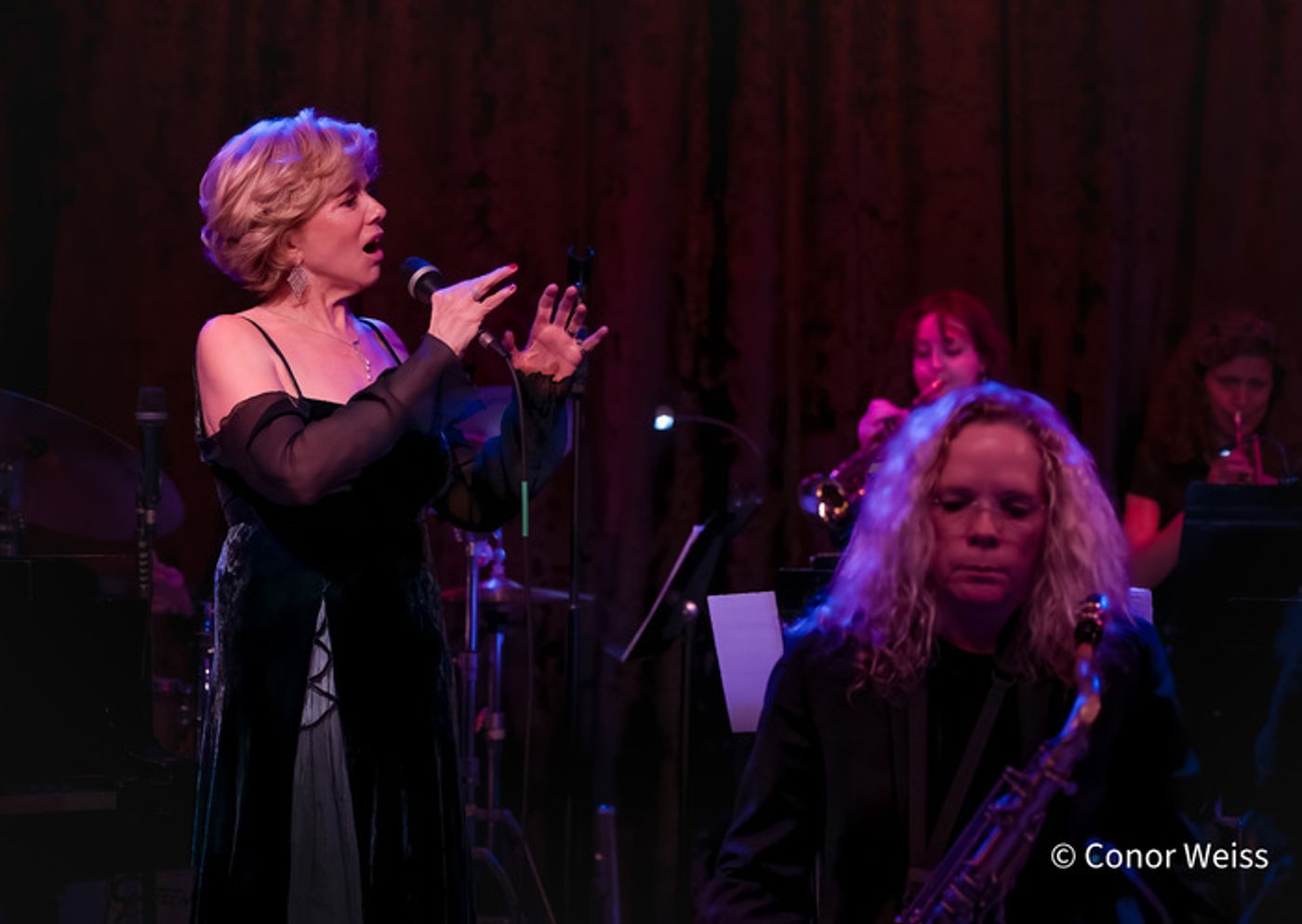Photos: Linda Purl and the DIVA Jazz Orchestra: BIG BAND ROMANCE at Birdland  Image