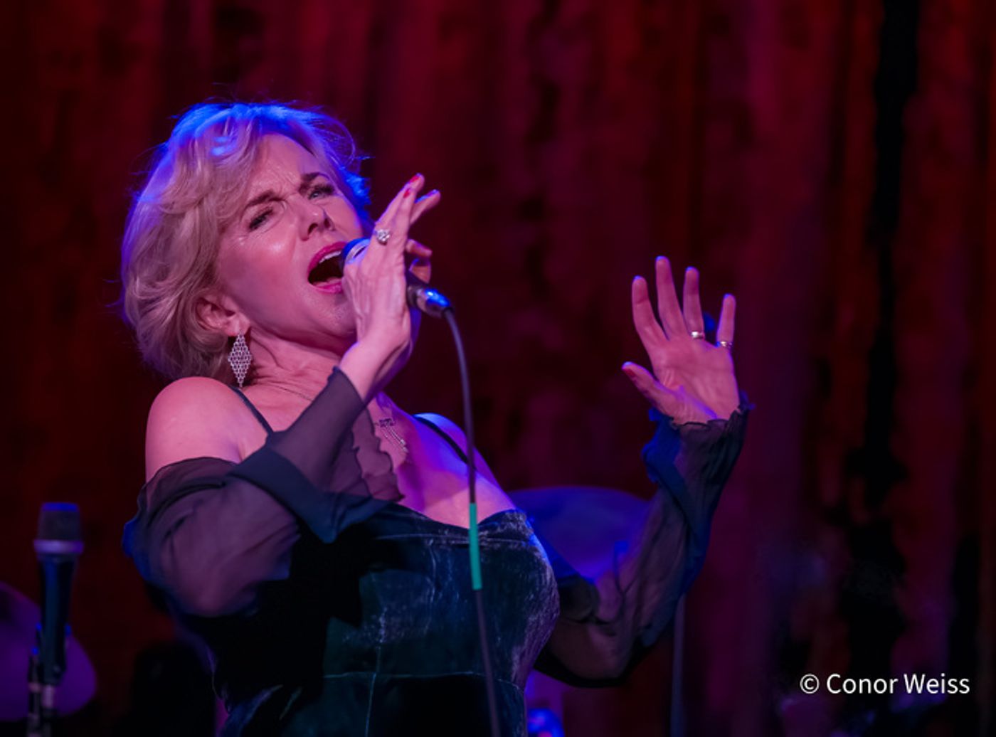 Photos: Linda Purl and the DIVA Jazz Orchestra: BIG BAND ROMANCE at Birdland  Image