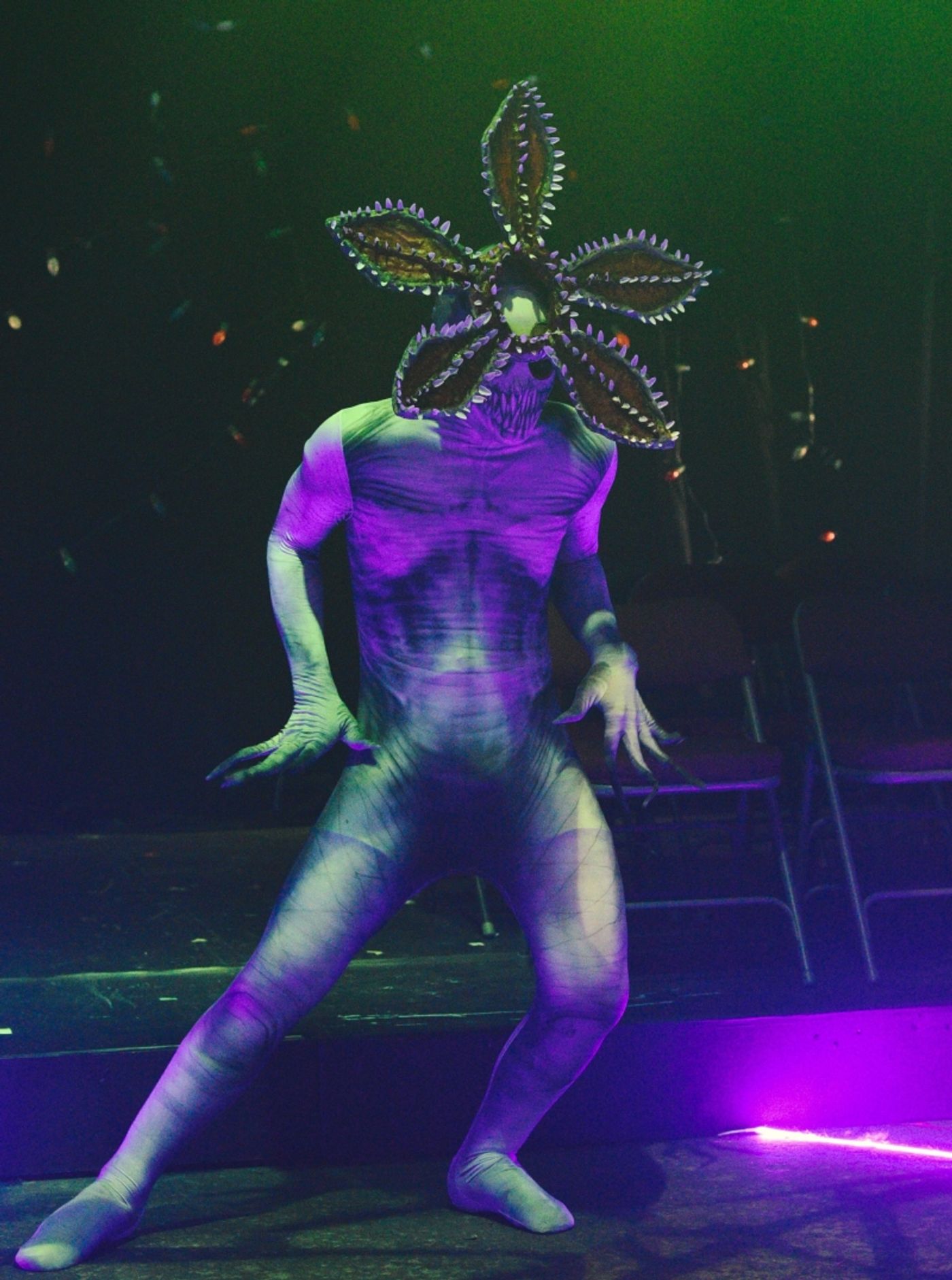 Review: STRANGER SINGS, THE PARODY MUSICAL at The Black Box  Image