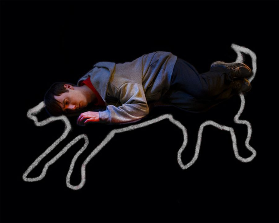 Photos: First Look at Bergen County Players' THE CURIOUS INCIDENT OF THE DOG IN THE NIGHT-TIME Image
