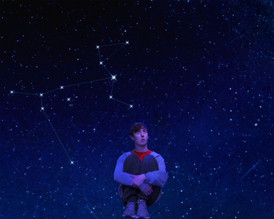 Photos: First Look at Bergen County Players' THE CURIOUS INCIDENT OF THE DOG IN THE NIGHT-TIME Image