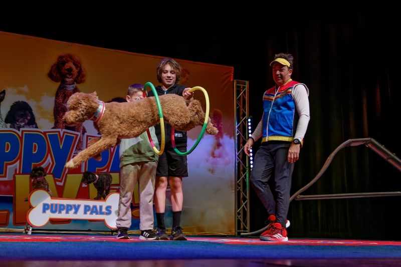 Review: PUPPY PALS at the Norris Theater  Image