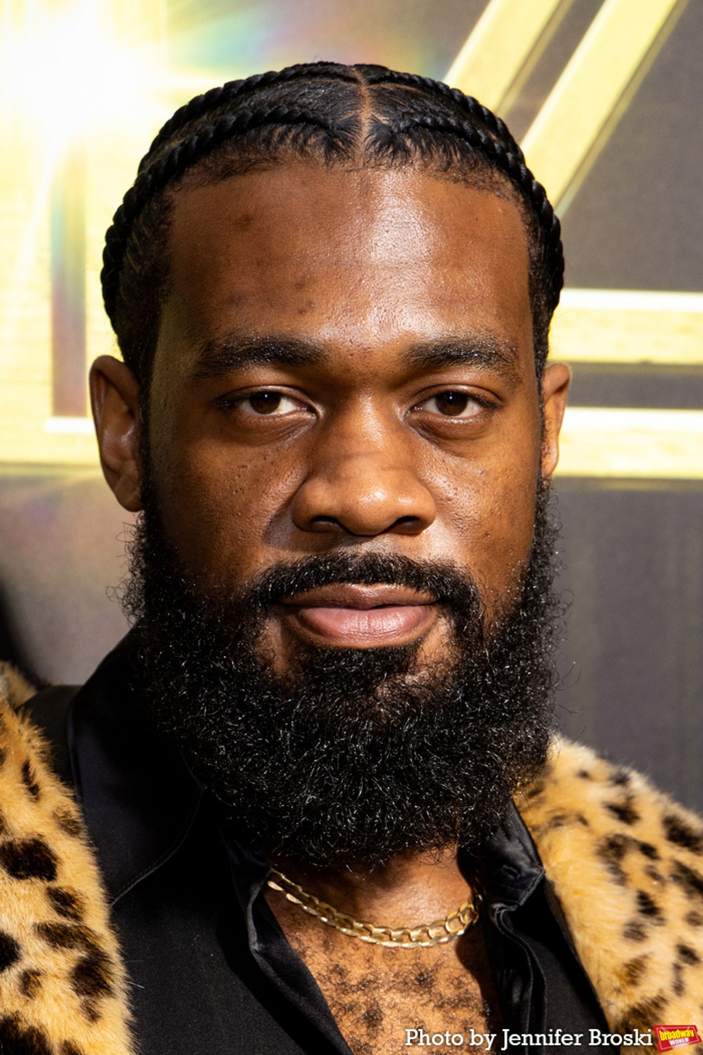 Photos: THE WIZ Cast and Creative Team Walk the Yellow Carpet on Opening Night  Image