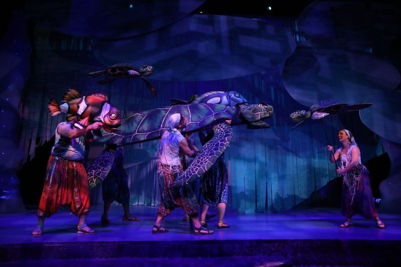 Nashville Children's Theatre's World Premiere of FINDING NEMO Musical Is Captivating and Heartwarming  Image