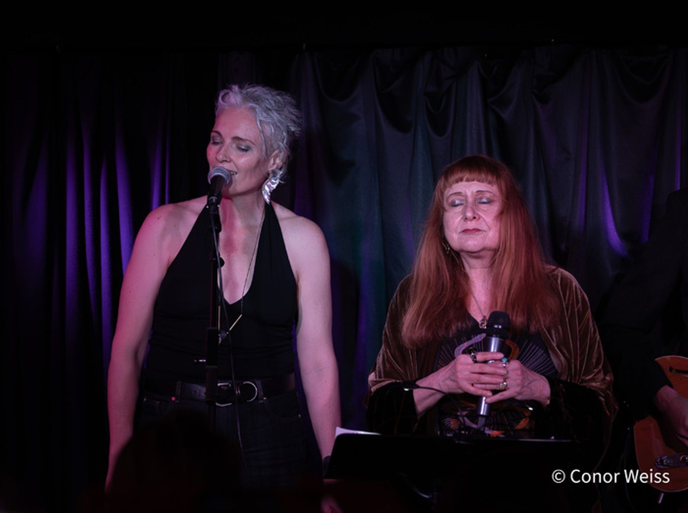 Photos: Ali Babs Wowed with VELVET (SERENADE): THE MUSIC OF LOU REED at Pangea  Image