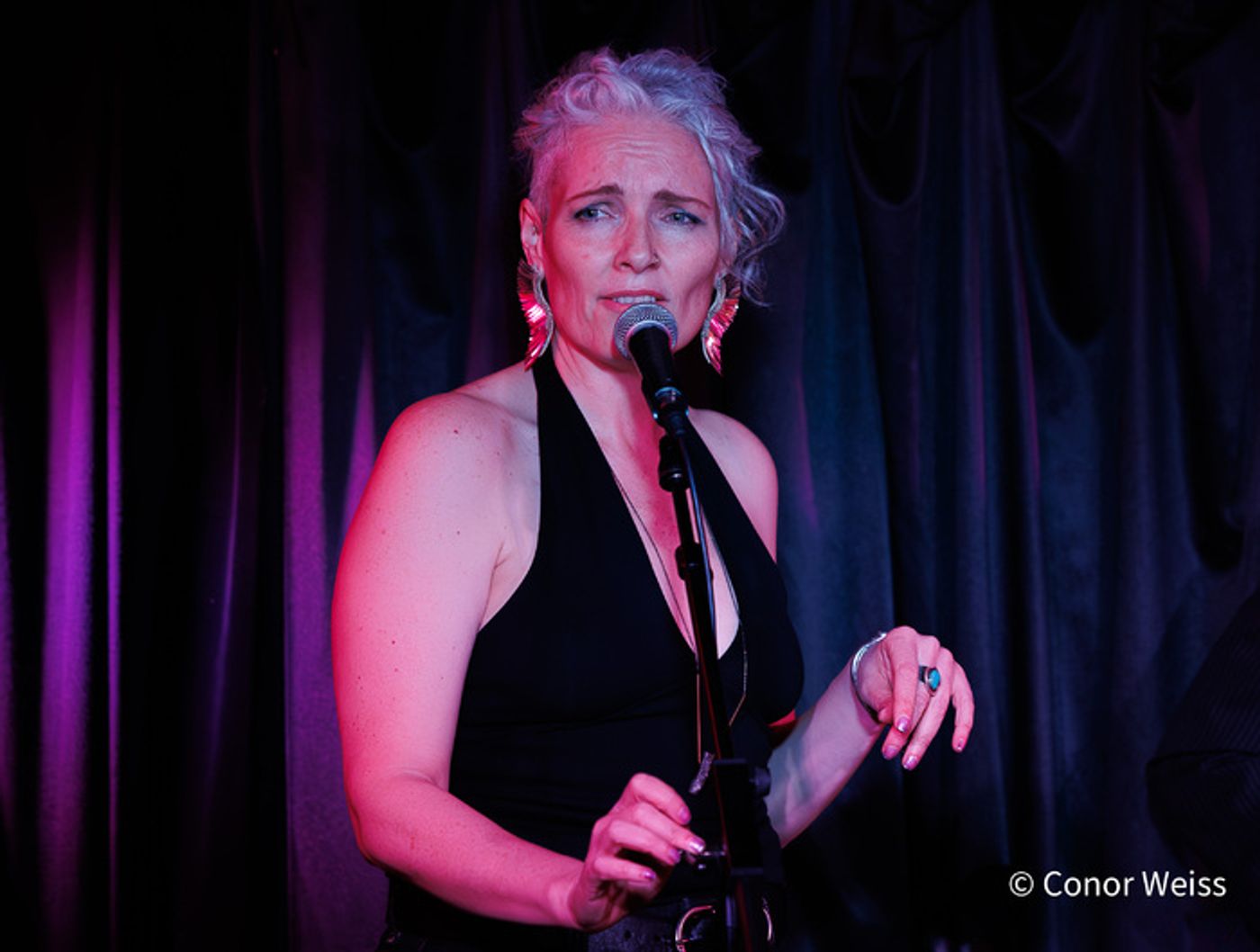 Photos: Ali Babs Wowed with VELVET (SERENADE): THE MUSIC OF LOU REED at Pangea  Image