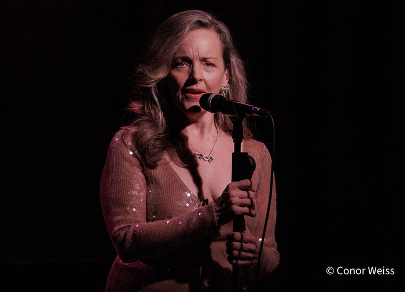 Photos: Highlights from Alice Ripley and John McDaniel's Concert at Birdland  Image