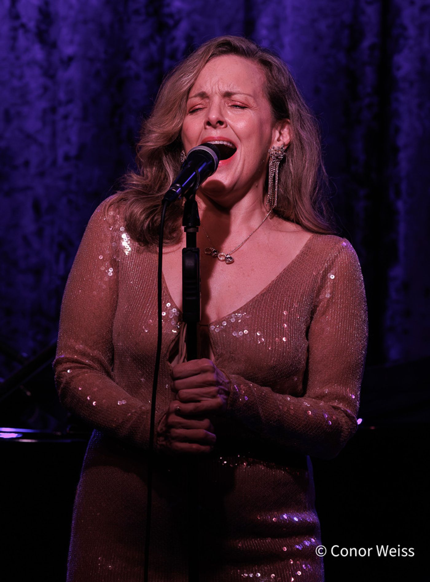 Photos: Highlights from Alice Ripley and John McDaniel's Concert at Birdland  Image