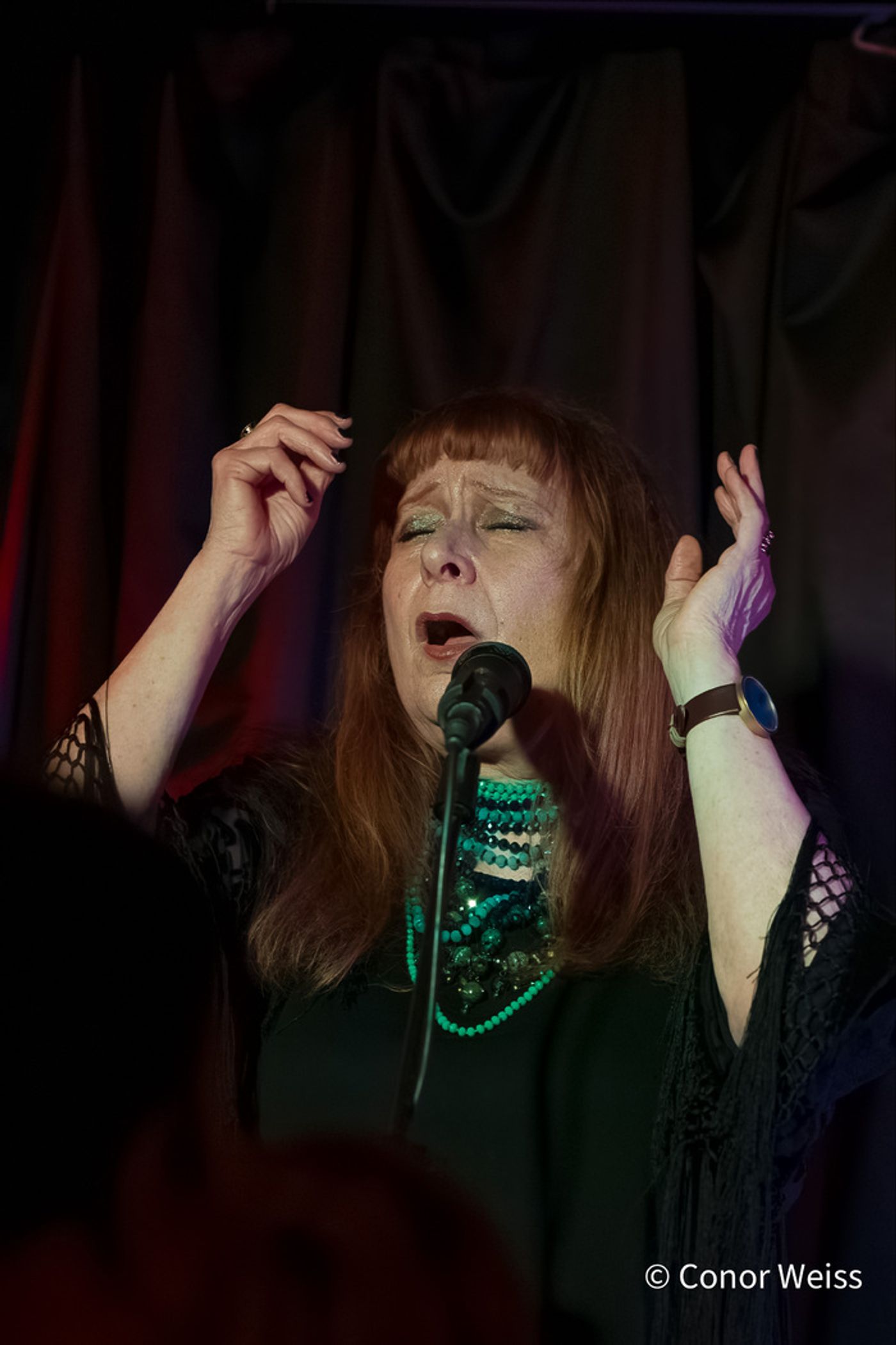 Photos: Highlights of Carol Lipnik's CREATURES OF THE WIND at Pangea  Image