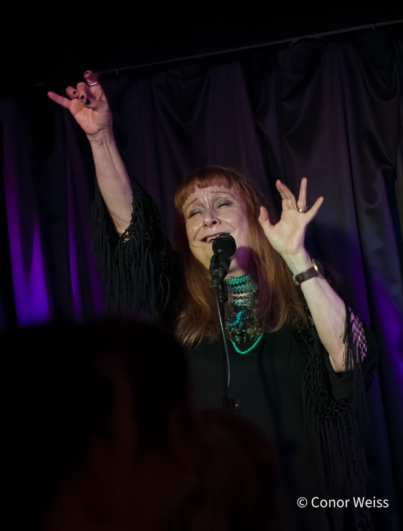Photos: Highlights of Carol Lipnik's CREATURES OF THE WIND at Pangea  Image
