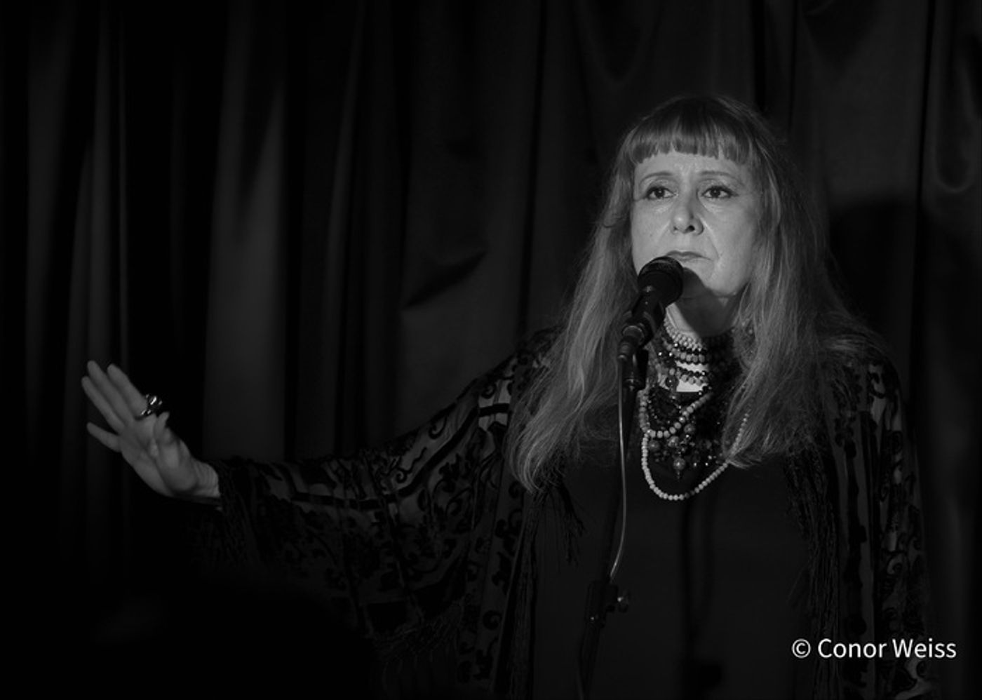 Photos: Highlights of Carol Lipnik's CREATURES OF THE WIND at Pangea  Image