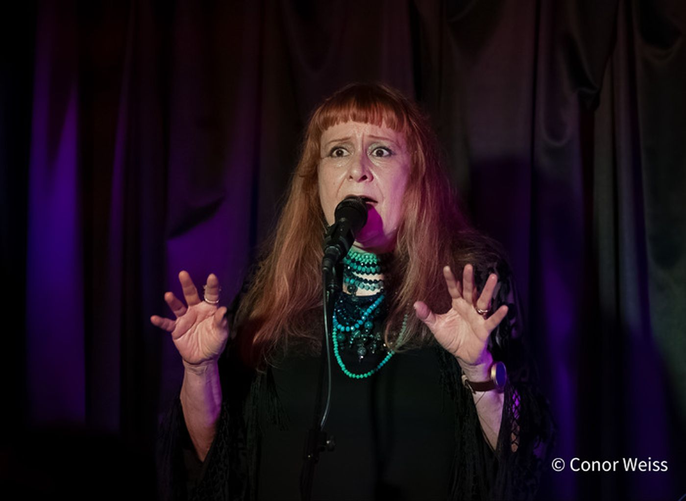 Photos: Highlights of Carol Lipnik's CREATURES OF THE WIND at Pangea  Image